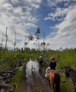 Riders on the route 