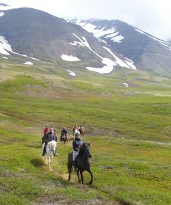 Iceland Horse Riding