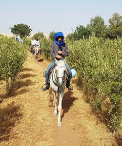 Argan forest