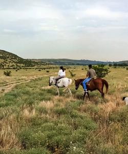 Georgia Horse Riding
