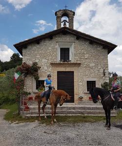 Horses in a historic town