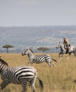 Kenya Riding
