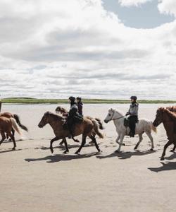 Iceland Horse Riding