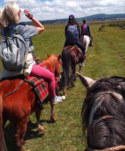 Ethiopia Horse Riding