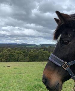 Australia Riding