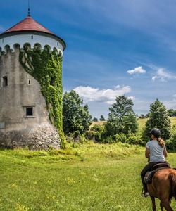 Slovenian Castles