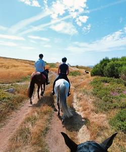 Portugal Riding