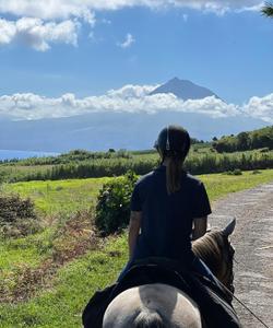 Faial Riding