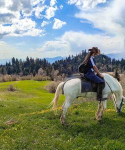 Georgia Horse Riding