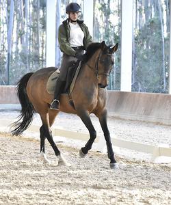 Portugal Dressage