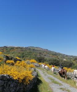 Portugal Riding