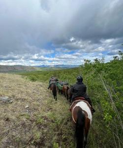 Riders on the route 