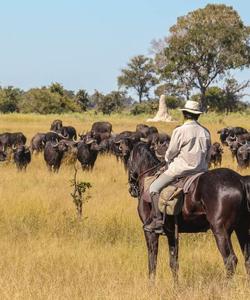 Botswana Riding Safari