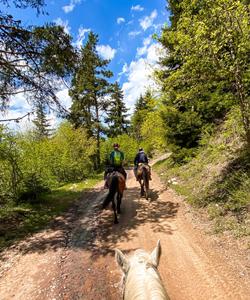 Georgia Horse Riding