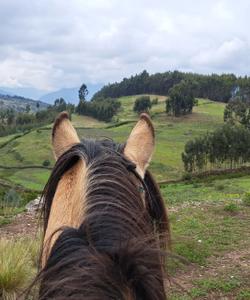 Peru Riding