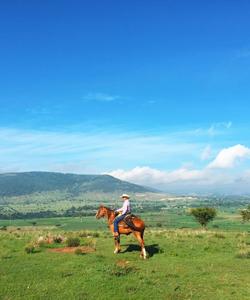 Mexico Horse Riding