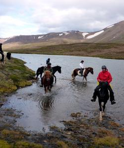 Iceland Horse Riding