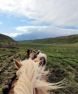 Iceland Horse Riding