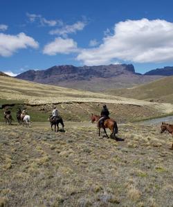 Patagonia Riding