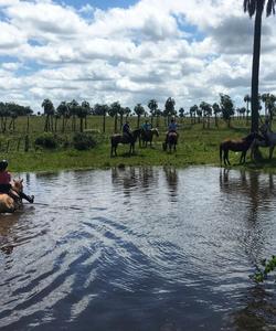 Uruguay Horse Riding