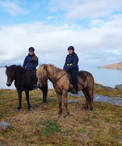 Iceland Horse Riding