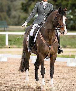 Australia Dressage