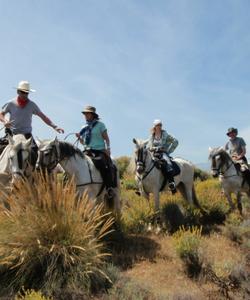 Andalusia Horse Riding