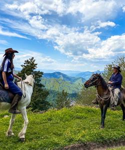 Georgia Horse Riding