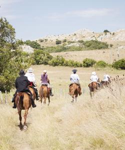 Uruguay Horse Riding