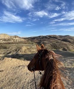 Caucasus Riding