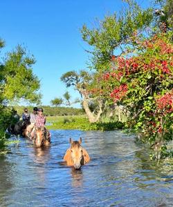 Uruguay Horse Riding