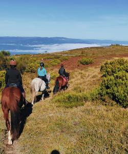 Portugal Riding