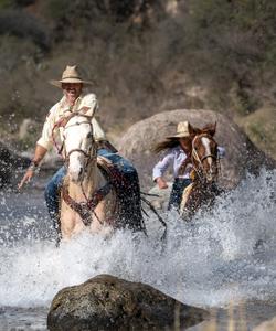 Mexico Horse Riding