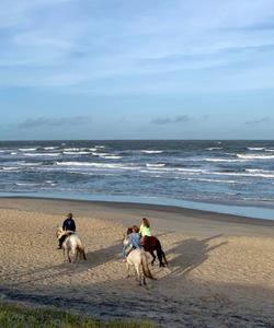 Uruguay Horse Riding