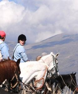 Spain Horse Riding