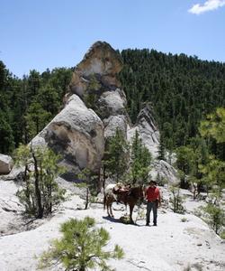 USA Horse Trekking