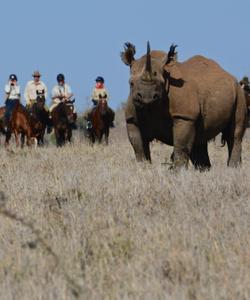 Kenya Riding