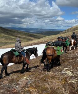 Exploring Yukon 