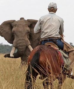 Kenya Riding Safari