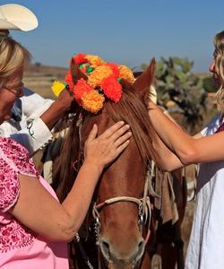 Mexico Horse Riding