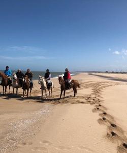 Uruguay Horse Riding