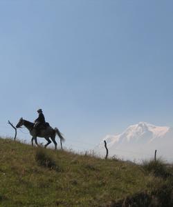 Ecuador Horse Riding