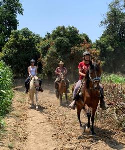 Peru Riding