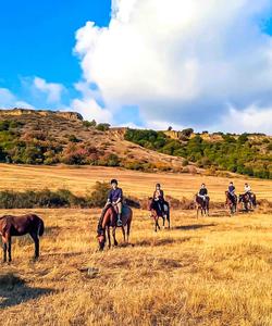 Georgia Horse Riding