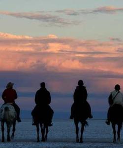 Botswana Riding