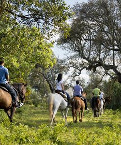 Portugal Riding