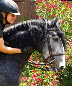 Portugal Riding Lessons