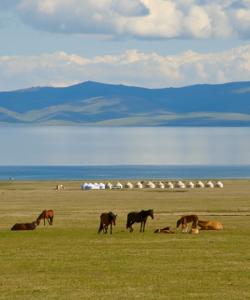 Kyrgyzstan Riding