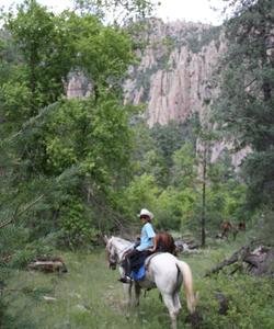 New Mexico Riding