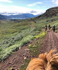 Greenland Horse Riding